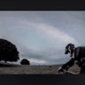 Meet your Posher, Ivan